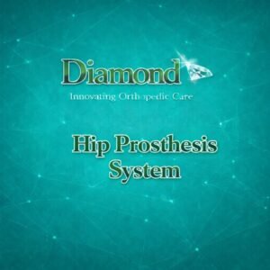 Hip Prosthesis System